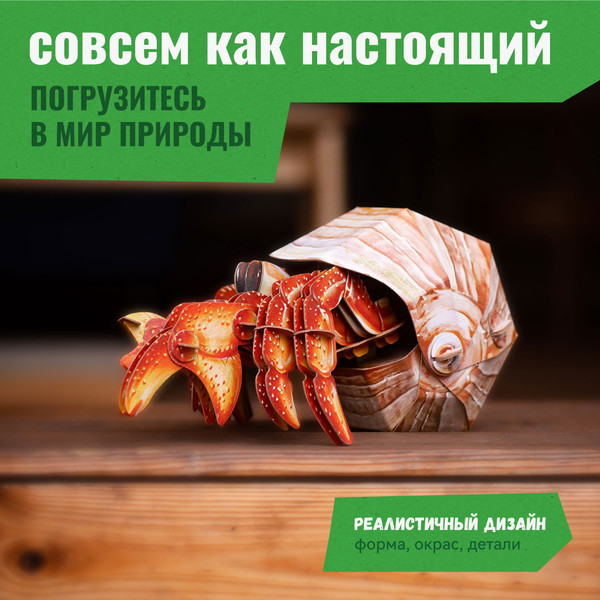 Изображение товара Конструктор Makebug Bring Nature Home Рак-отшельник MB-B-0008