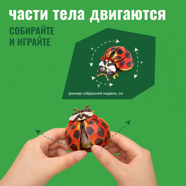 Изображение товара Конструктор Makebug Bring Nature Home Божья коровка-арлекин MB-C-0014