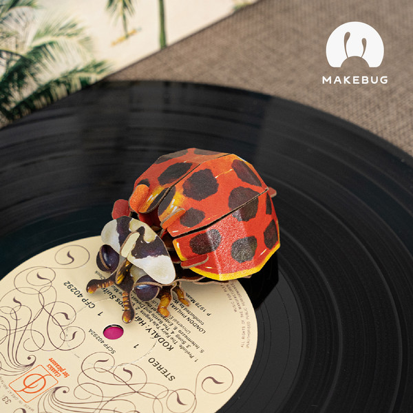 Изображение товара Конструктор Makebug Bring Nature Home Божья коровка-арлекин MB-C-0014