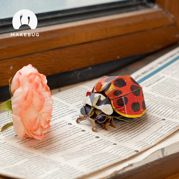 Изображение товара Конструктор Makebug Bring Nature Home Божья коровка-арлекин MB-C-0014