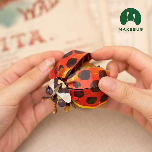 Изображение товара Конструктор Makebug Bring Nature Home Божья коровка-арлекин MB-C-0014