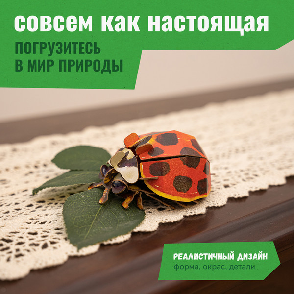 Изображение товара Конструктор Makebug Bring Nature Home Божья коровка-арлекин MB-C-0014