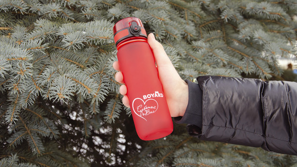 Изображение товара Бутылка для воды Boyard S001R.1/500/2023