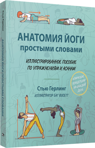 Изображение товара Книга Попурри Анатомия йоги простыми словами, мягкая обложка (Герлинг Стью)