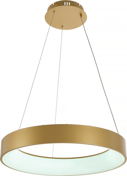 Изображение товара Потолочный светильник MyFar Shannon MR2192-1PL