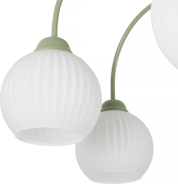 Изображение товара Люстра MyFar Flora MR2271-6C