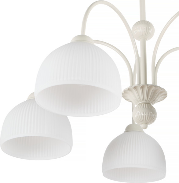 Изображение товара Люстра MyFar Flora MR2273-5C