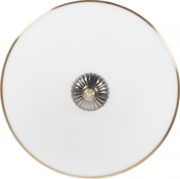 Изображение товара Люстра MyFar Biene MR1527-3C