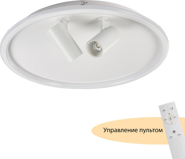 Изображение товара Потолочный светильник MyFar Focus MR9050-CL