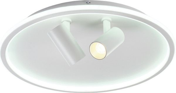 Изображение товара Потолочный светильник MyFar Focus MR9050-CL