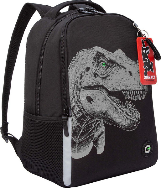 Изображение товара Школьный рюкзак Grizzly RB-551-6 (черный)