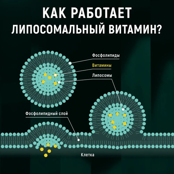 Изображение товара Минерал Atech Nutrition Iron Premium Liposomal Железо (60капсул)