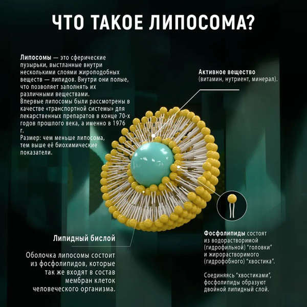 Изображение товара Минерал Atech Nutrition Iron Premium Liposomal Железо (60капсул)