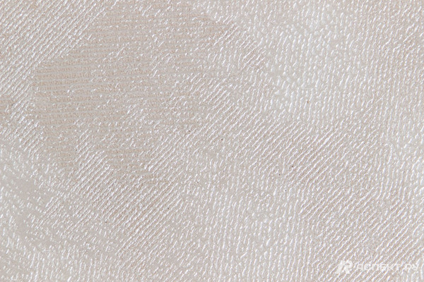 Изображение товара Виниловые обои Аспект 10137-12