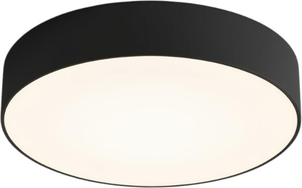 Изображение товара Потолочный светильник Truenergy 11163