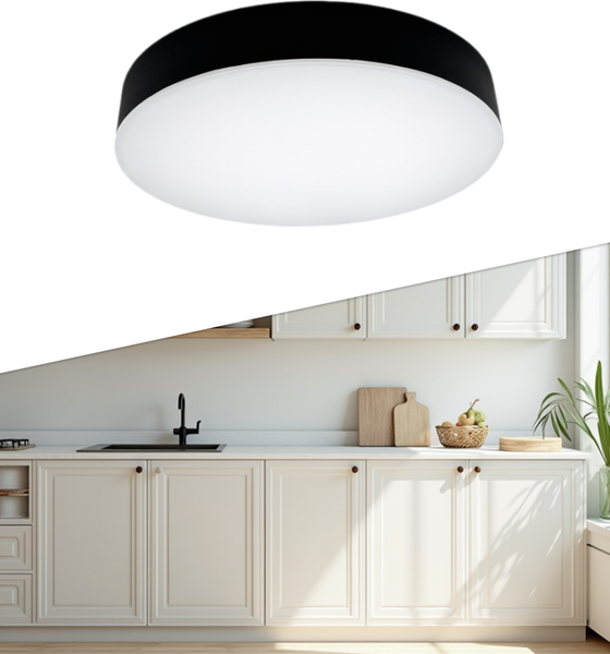 Изображение товара Потолочный светильник Truenergy 11164