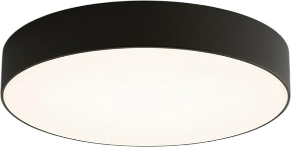 Потолочный светильник Truenergy 11164