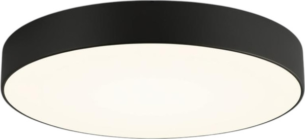 Изображение товара Потолочный светильник Truenergy 11165