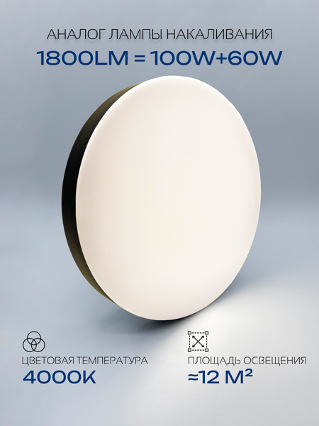 Изображение товара Потолочный светильник Truenergy 11165