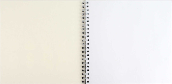 Изображение товара Скетчбук Феникс+ Два кота / 70149