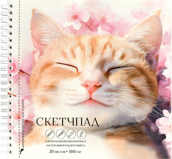 Изображение товара Скетчбук Феникс+ Спящий кот / 70147
