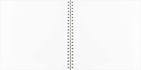 Изображение товара Скетчбук Феникс+ Поцелуй / 70148