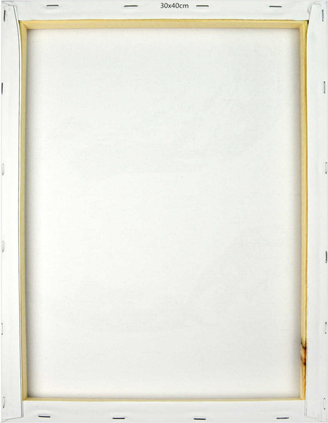 Изображение товара Картина по номерам Феникс+ Красный цветок / 67966