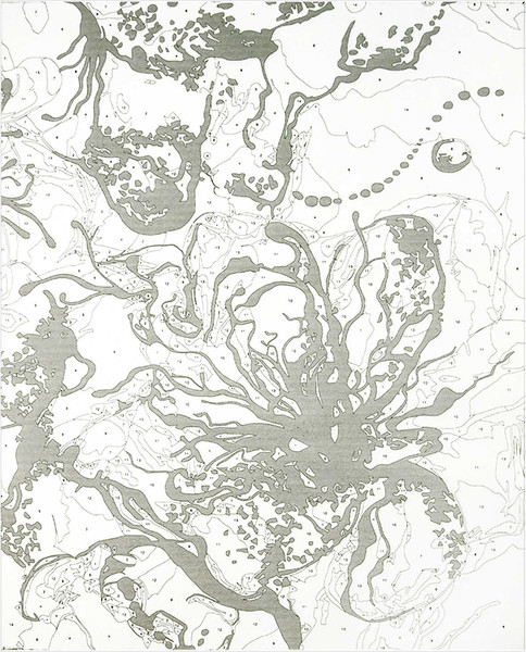 Изображение товара Картина по номерам Феникс+ Красный цветок / 67966