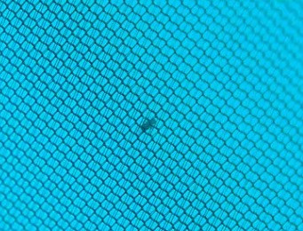 Изображение товара Палатка Naturehike P-Series / NH18Z044-P-4SBL (голубая)