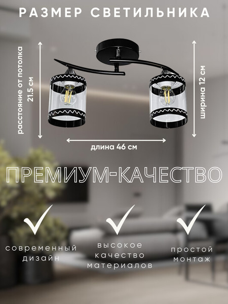 Изображение товара Потолочный светильник Aitin-Pro НПБ 02-2x60-101 / 6268/2 (черный/хром)