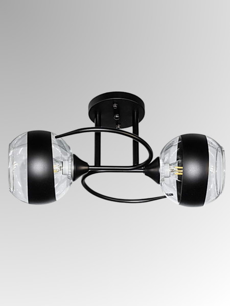 Изображение товара Потолочный светильник Aitin-Pro НПБ 02-2x60-101 / 6272/2 (черный)