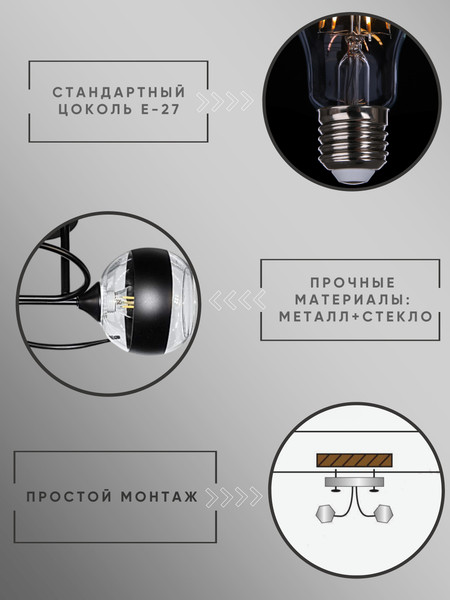 Изображение товара Потолочный светильник Aitin-Pro НПБ 02-2x60-101 / 6272/2 (черный)