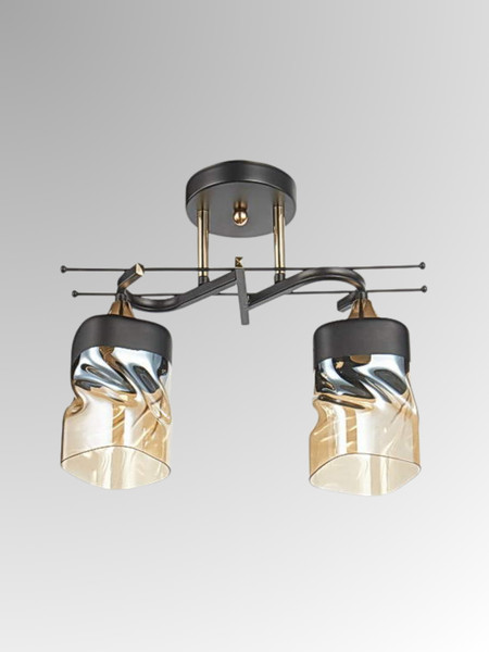 Изображение товара Потолочный светильник Aitin-Pro НПБ 02-2x60-101 / 6284/2 (черный/золото)