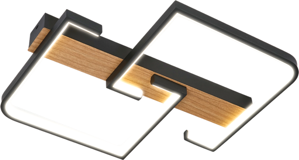 Изображение товара Потолочный светильник Aitin-Pro WD1019 (черный)