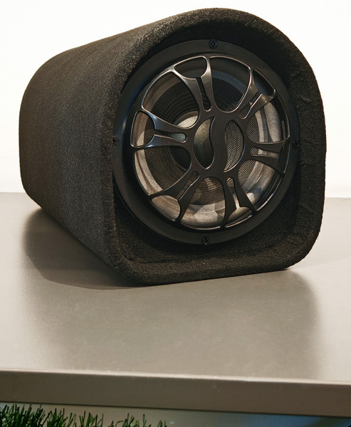 Изображение товара Корпусной активный сабвуфер ProVision WD0301