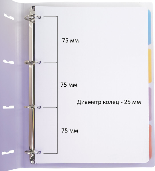 Изображение товара Тетрадь Brauberg Grade / 404623 (120л, фиолетовый)