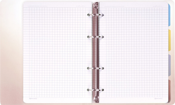Изображение товара Тетрадь Brauberg Grade / 404630 (120л, красный)