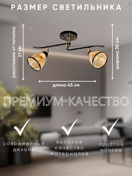 Изображение товара Спот Aitin-Pro НПБ 02-2x60-101 / 6291/2 (черный/золото)