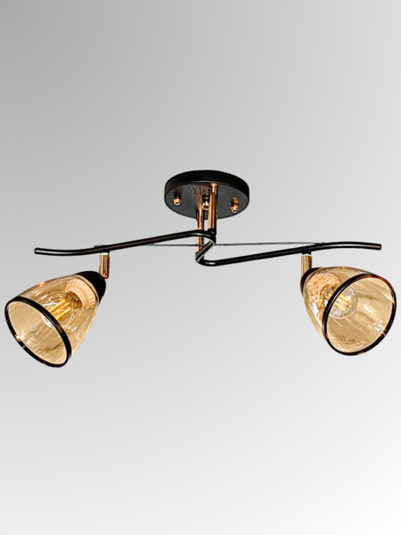 Изображение товара Спот Aitin-Pro НПБ 02-2x60-101 / 6291/2 (черный/золото)