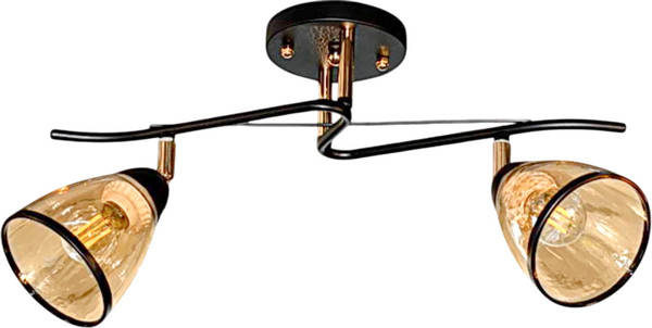 Изображение товара Спот Aitin-Pro НПБ 02-2x60-101 / 6291/2 (черный/золото)