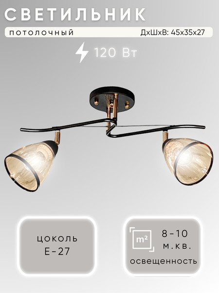 Изображение товара Спот Aitin-Pro НПБ 02-2x60-101 / 6291/2 (черный/золото)