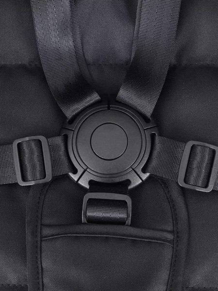 Изображение товара Детская прогулочная коляска Rant Joy / RA303 (золото/черный)