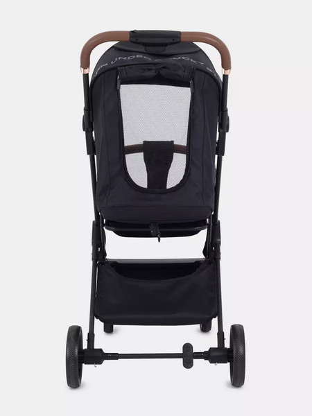 Изображение товара Детская прогулочная коляска Rant Joy / RA303 (золото/черный)