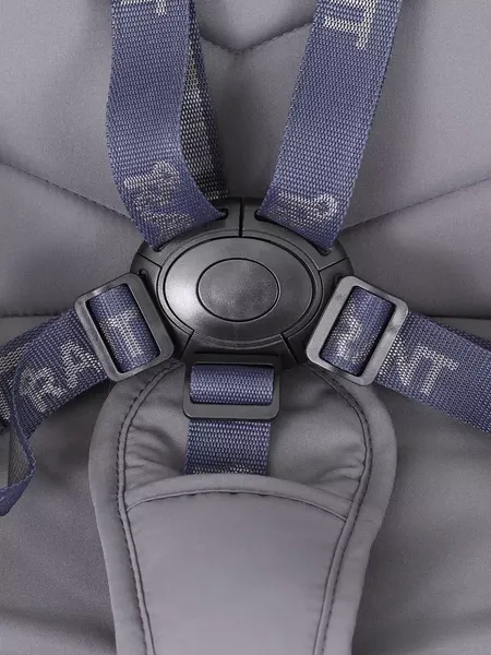 Изображение товара Детская универсальная коляска Rant Flex 3в1 / RA077 (графит)