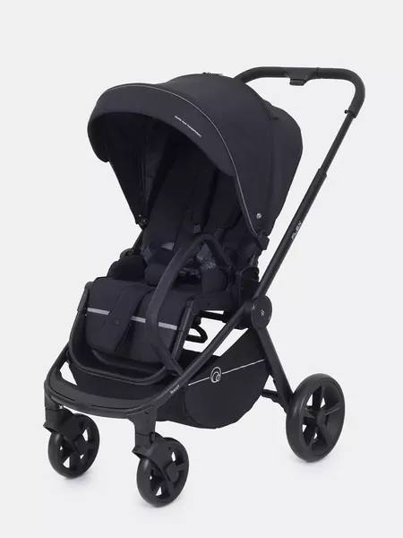 Изображение товара Детская прогулочная коляска Rant Flex / RA078 (черный)