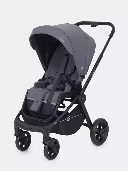 Изображение товара Детская прогулочная коляска Rant Flex / RA078 (графит)