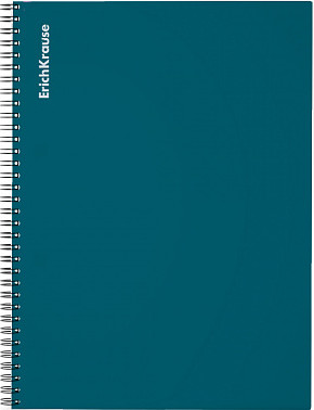 Изображение товара Тетрадь Erich Krause Reef / 54130 (80л, бирюзовый)