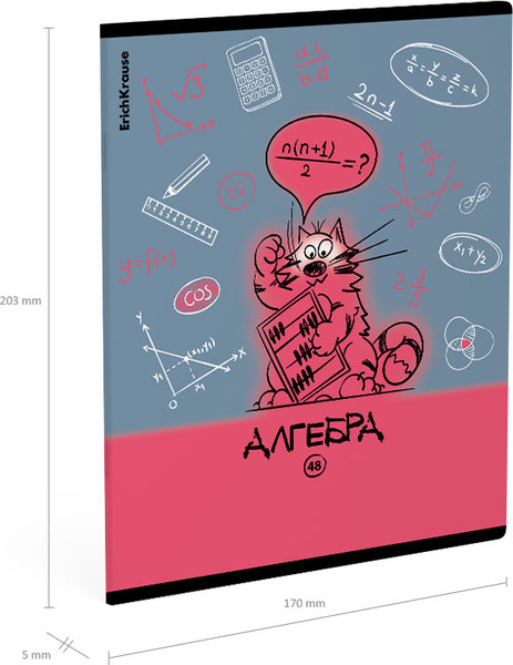Изображение товара Тетрадь предметная Erich Krause Котоформулы. Алгебра / 62530 (48л)