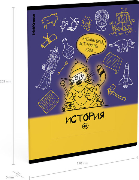 Изображение товара Тетрадь предметная Erich Krause Котоформулы. История / 62533 (48л)