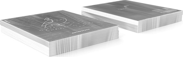 Изображение товара Тетрадь предметная Erich Krause Зри в корень. Литература / 59445 (48л)